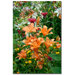 Lovely Garden I by Kurt Shaffer, Canvas Art - 24" x 16"