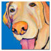 Rex by Pat Saunders-White, Canvas Art - 24" x 24"