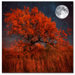 Halloween Color by Philippe Sainte-Laudy Canvas Art