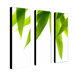 Life is Green by Philippe Sainte-Laudy, Canvas Art  (A 3 Piece Set) -24" x 8" x 2"
