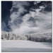 Snowy Sky by Philippe Sainte-Laudy, Canvas Art - 24" x 24"