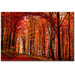The Red Way by Philippe Sainte-Laudy, Canvas Art - 30" x 47"