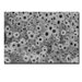 A Sunflower Day by Kurt Shaffer, Canvas Art - 22" x 32"