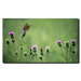 Monarch Thistles by Kurt Shaffer, Canvas Art - 18" x 24"