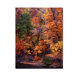 I Love Autumn by Kurt Shaffer, Canvas Art - 24" x 18"