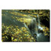Fall Falls by Kurt Shaffer, Canvas Art - 24" x 32"