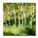 Birch Trees by Michelle Calkins, Canvas Art - 24" x 24"