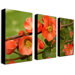 Quince by Kathie McCurdy Canvas Art (Set of 3)