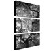 Speaking by Cat Eyes Canvas Art (Set of 3)