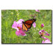Spring I by Cary Hahn Canvas Art
