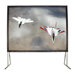 Viewable Fixed Frame Projector Screen - 16:9 HDTV Format 150" Diagonal