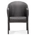 Montezuma Outdoor Dining Arm Chair