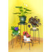 Argyle Plant Stand