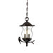 Avian 2 Light Outdoor Hanging Lantern