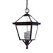 Charleston 3 Light Outdoor Hanging Lantern