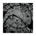 CityFabric Inc Paris Gallery Wrapped Canvas