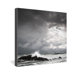 Bird Wanna Whistle Water Gallery Wrapped Canvas