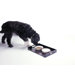 Dog Feeding Platter
