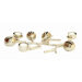 Amalfitana Beanpod Tea Light Candle Holder