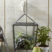 Nature's Window Square Plant Terrarium/Display Case