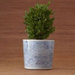 Round Chain Planter