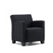 Jenny Upholstered Lounge Chair