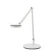Dash 18" H x 8.25" W LED Light