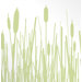 Cattails Stretched Wall Art in Celery