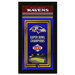 NFL Championship Banner
