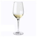 Fusion Classic Riesling / Sauvignon Blanc Wine Glass (Set of 4)