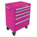 26" 5 Drawer Roll Away Cabinet