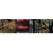 Seven Wall Art