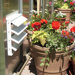 Greenhouse Non-Motorized Shutter Fan