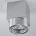 Alume 1 Light Ceiling Accent Light