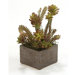 Faux Succulents in Planter