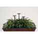 Artificial Eucalyptus and Greenery Mix with Three Glass Candle Pillars and Glass Votives