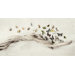 Butterflies Drift of Butterfiles Wall Art