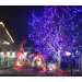 Series Circuit Commercial Grade Mini String Lights (17 Ft)