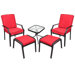 Sanoma Chat Set with Cushions