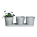 4 Piece Thomas Planter Set