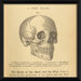Physiology Skull Wall Art
