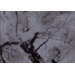 Marble Shelf Liner