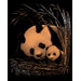 Panda and Baby Art Engraving