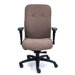 Mid-Back Karlsen Executive Chair with Arms