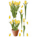 Sticko Photo Tulip Sticker