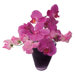 Flat Flowers Window Stickers Originals in Orchid