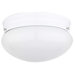2 Light Flush Mount