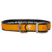 All Style Simply Solid Hunter Orange No Stink Dog Collar
