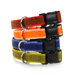 Stripe Hype Dog Collar