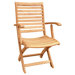 Folding Armchair